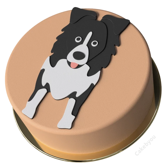 Border collie torta keszito keszlet