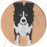 border collie torta