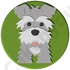 schnauzer torta
